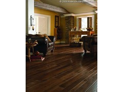 Anderson - Vintage - Sanctuary