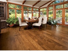 Mirage - Aged Maple Collection - Praline