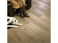 Provenza - Old World Collection