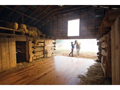 Shaw - Hardwood 4